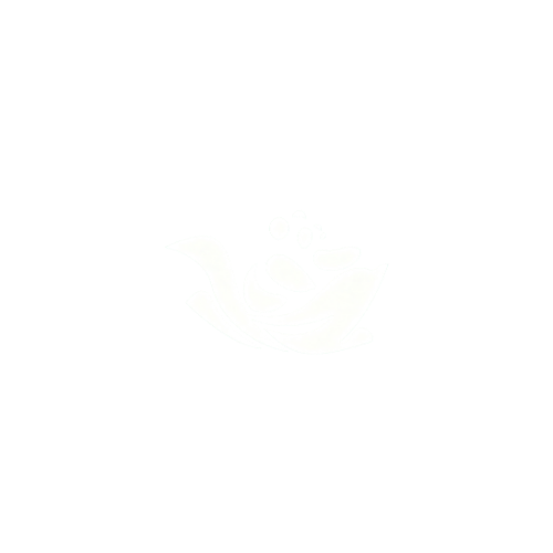 实操训练